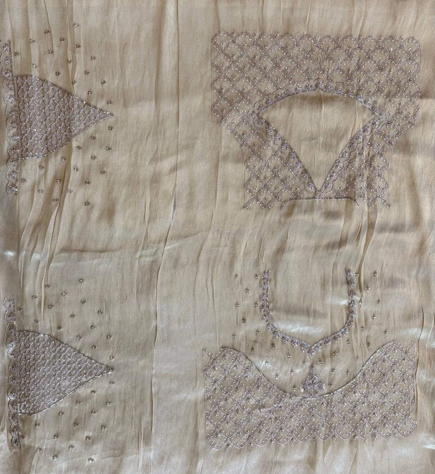 Ivory Beige-Gold Tissue Silk Saree with Handwork