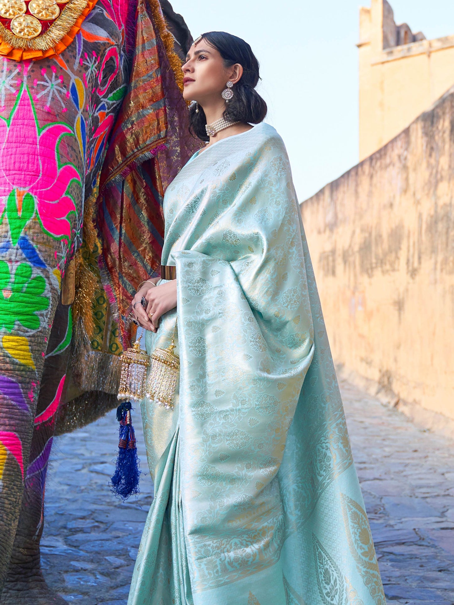 Sky Blue Kanjivaram Silk Saree with Woven Zari Work
